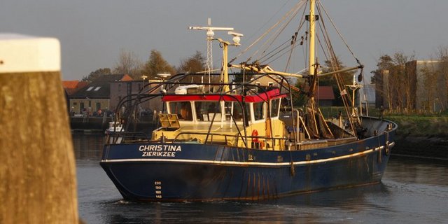 Der Grossteil der Schweizer konsumiert Fische aus dem Meer. Ist das eine Chance?  (Bild lid/ji)