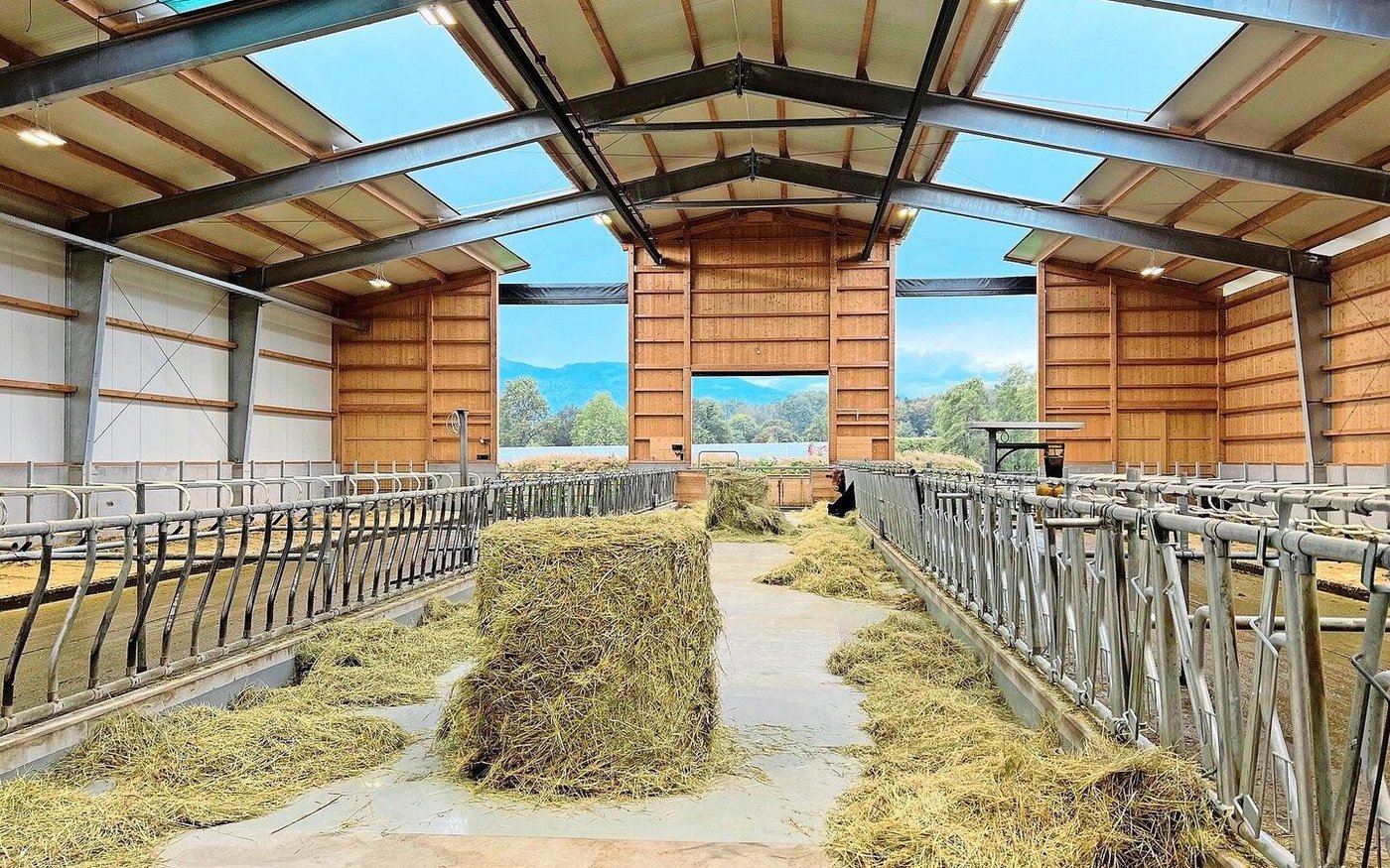 Dieser neue Stall ist RAUS-konform, weil eine Seite offen ist und die Tiere ins Freie sehen können. 