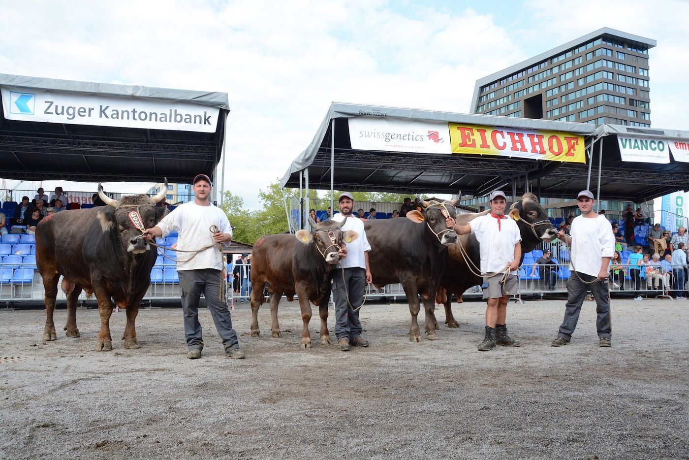 Die Mister und Junior Mister des Zuchtstierenmarkt Zug 2017.