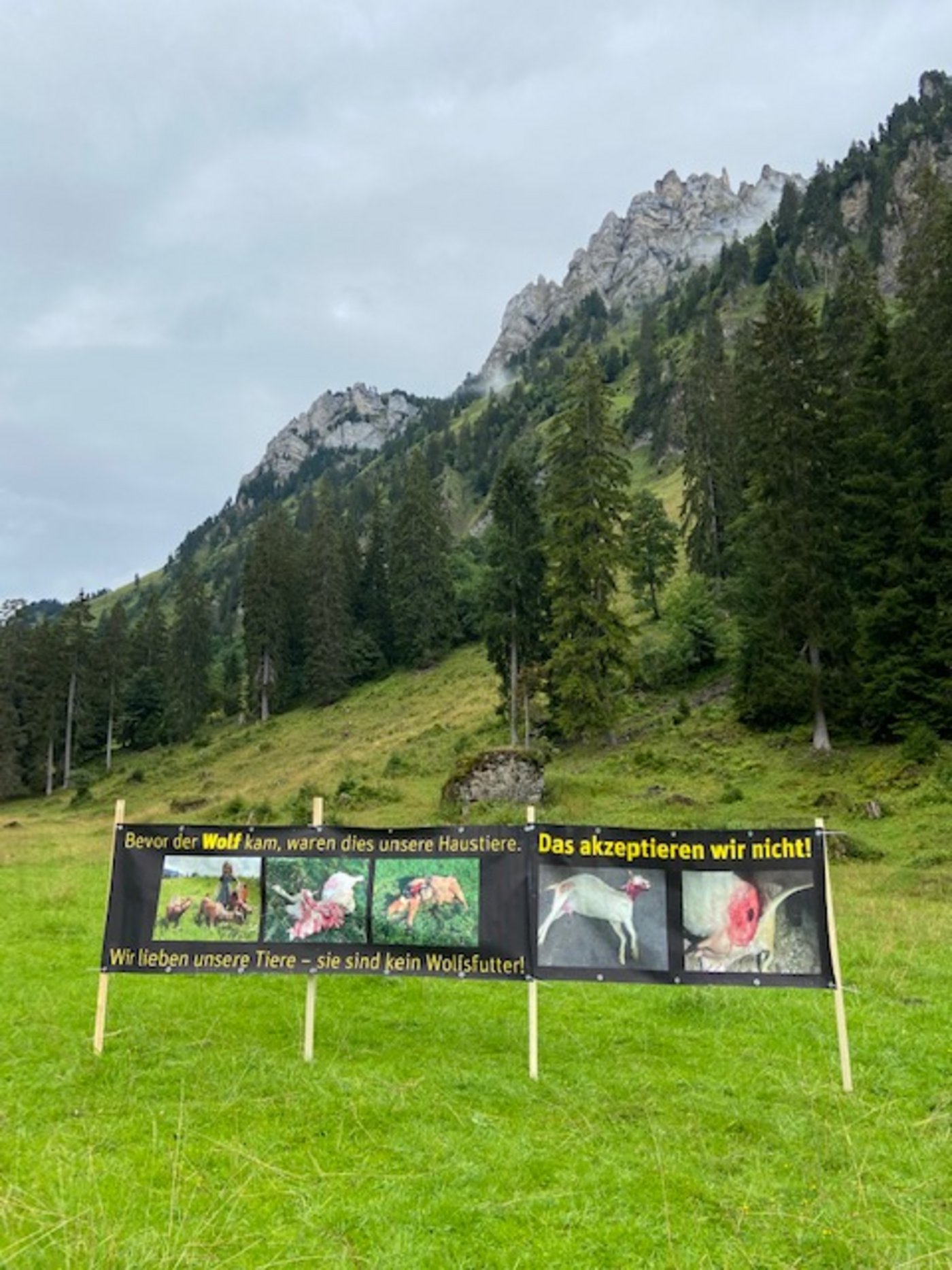 Auch darüber wurde diskutiert: Ist der Einsatz von Bildern gerissener Tiere sinnvoll? (Bild akr)