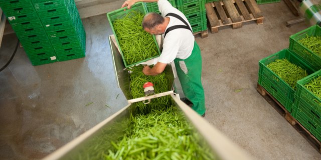 Die zwei Verarbeitungsbauten des Projekts zur regionalen Entwicklung (PRE) im Seeland können gebaut werden – allerdings mit mehr Eigenmitteln. (Bild Fenaco)