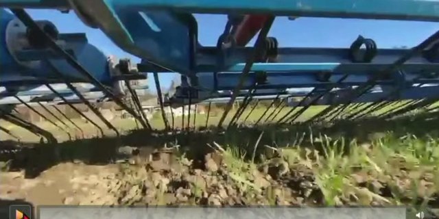 Dies ist der sogenannte «Horror-Blick», welcher beim Striegeln sichtbar ist, wie Leuenberger beschrieb. (Screenshot aus dem fenaco Lifestream)