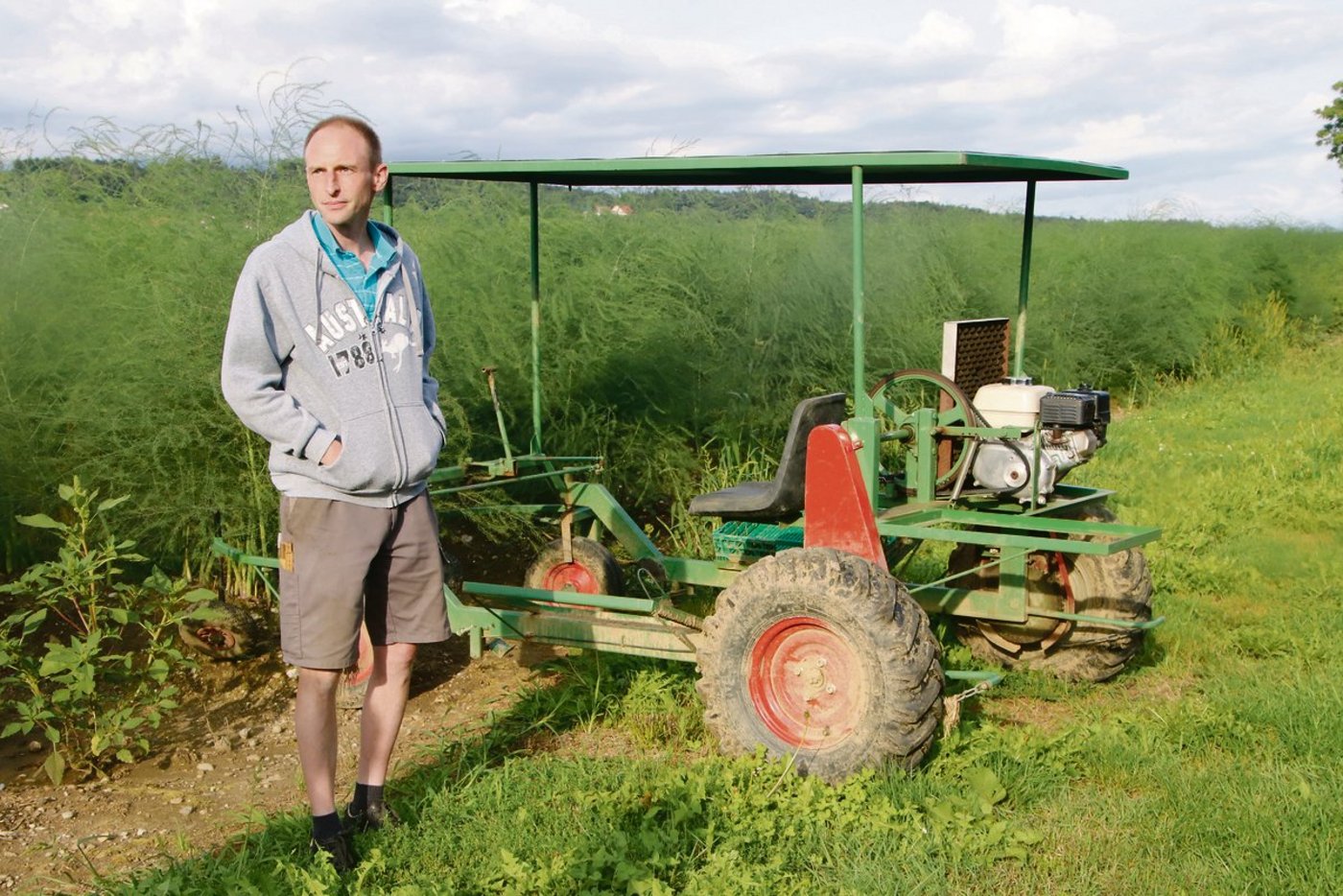 Oliver Brupbacher vom Erlenhof präsentiert eine selber entwickelte Erntemaschine. Im Moment ist das Kraut seiner Spargeln auf Mannshöhe gewachsen. (Bild Roland Müller)