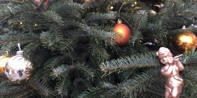 Statt Weihnachen im Wald zu feiern, empfehlen die Christbaumproduzenten breite Tannen zu kaufen. Das sorge auch für Abstand. (Symbolbild et)