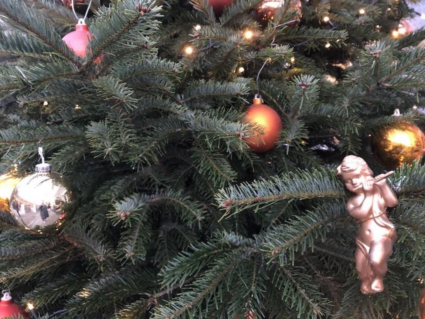 Statt Weihnachen im Wald zu feiern, empfehlen die Christbaumproduzenten breite Tannen zu kaufen. Das sorge auch für Abstand. (Symbolbild et)