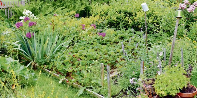 Kleinstrukturierte, unterschiedliche Biotope, immer bedeckte Böden: Das sind Merkmale der Permakultur.(Bild Adobe Stock)