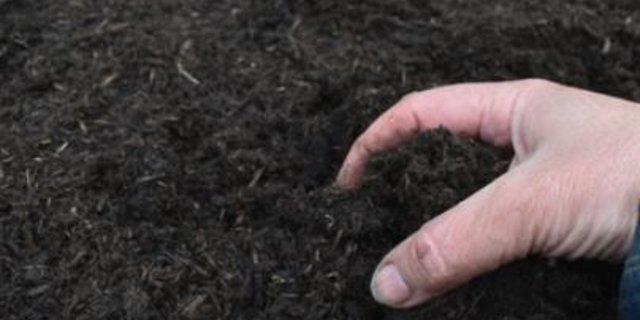 Pflanzenkohle_Platzhalter