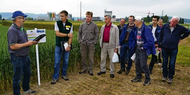 Hermann Mugli (links) und Kalle Camp (zweiter von links), erklärten den Interessierten an dem Getreideposten   die Vor- und Nachteile der jeweiligen Getreidesorten. (Bild 1/4, Bilder: Peter Fankhauser)