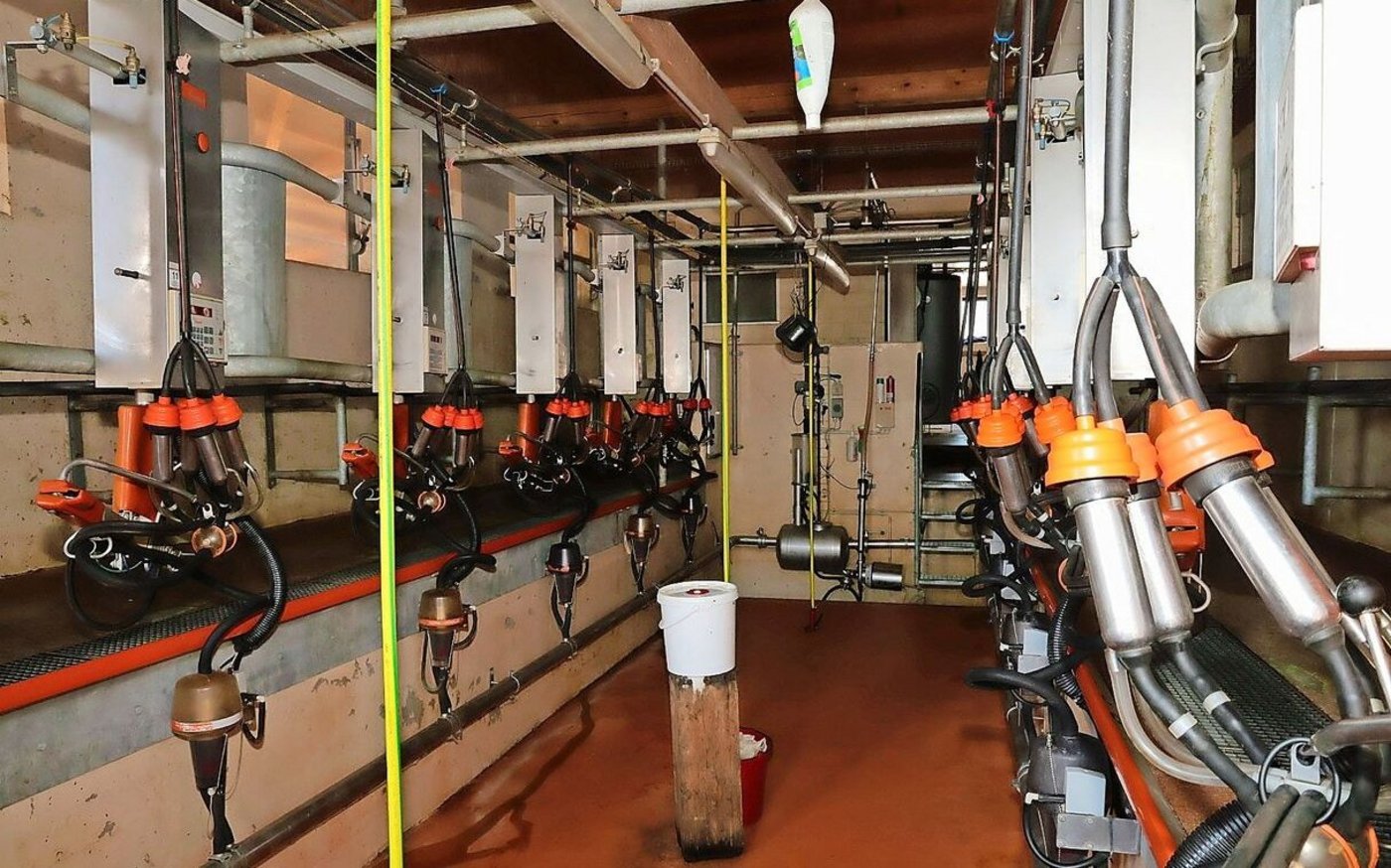 Dank saisonaler Abkalbung herrscht vom 15. November bis 6. Januar auf Jürg Sprengers Betrieb Melkruhe. 