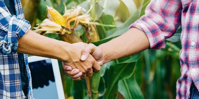 Ein Bild, das der Vergangenheit angehört. Ob und wann wir unseren Absolventinnen und Absolventen wieder so gratulieren werden, wissen wir derzeit nicht.(Bild Adobe Stock)