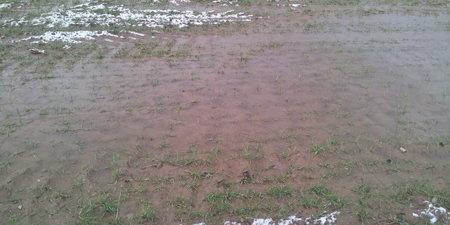 Ein naturbedingtes Erosionsereignis kann nicht nur bei Extremniederschlägen vorkommen. (Bild BauZ)