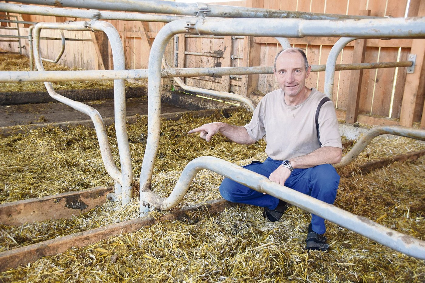 Urs Gygax zeigt bei seinen gegenständigen Boxen auf den Abstand. Dieser beträgt nur 18 cm, es müssten aber laut Tierschutzgesetz 45 cm sein.(Bilder Peter Fankhauser)