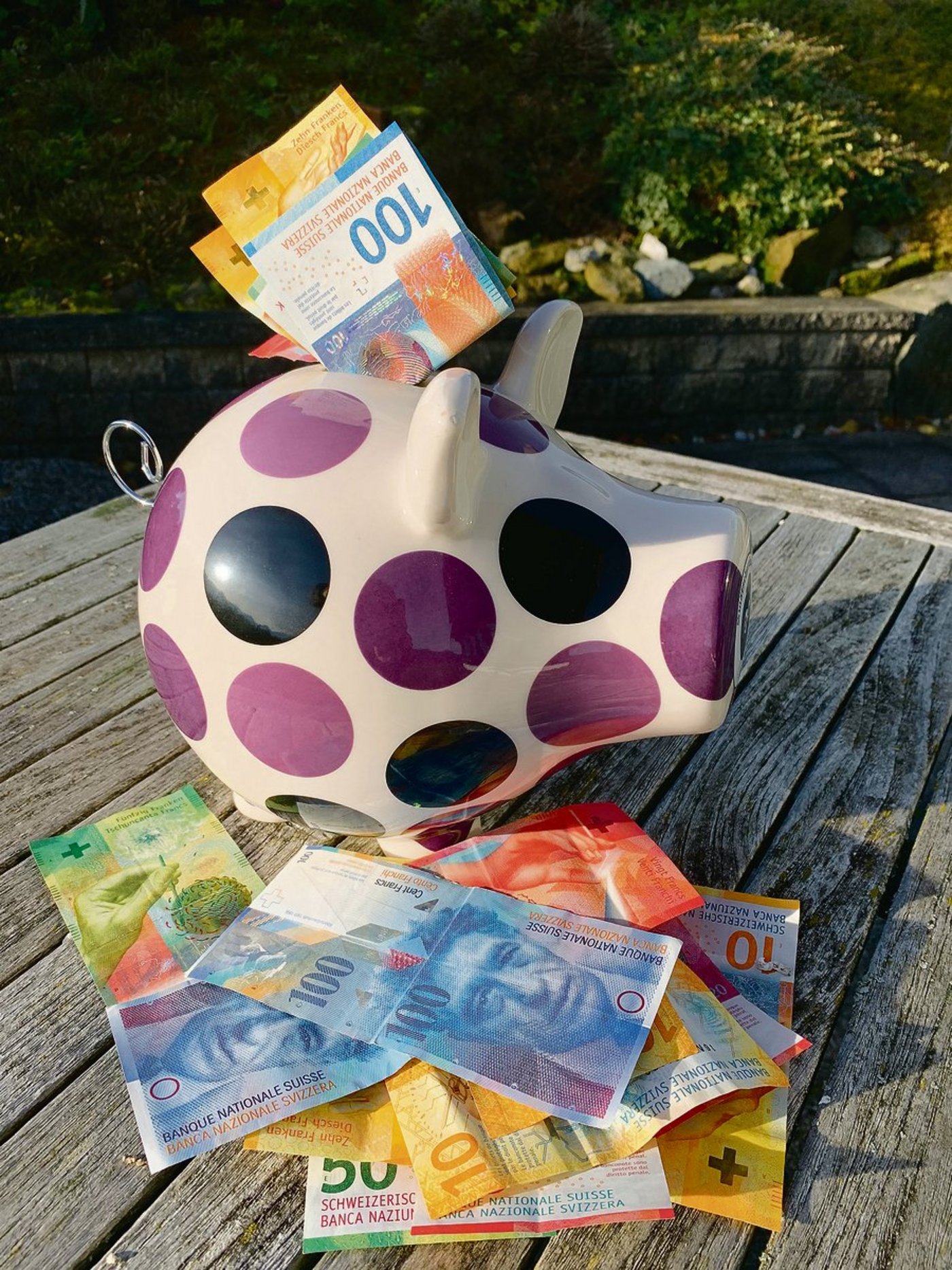 Schweine brachten viele Scheine.  Das bietet Möglichkeiten, in die persönliche Altersvorsorge zu investieren und so Steuern zu sparen.(Bild Josef Scherer)