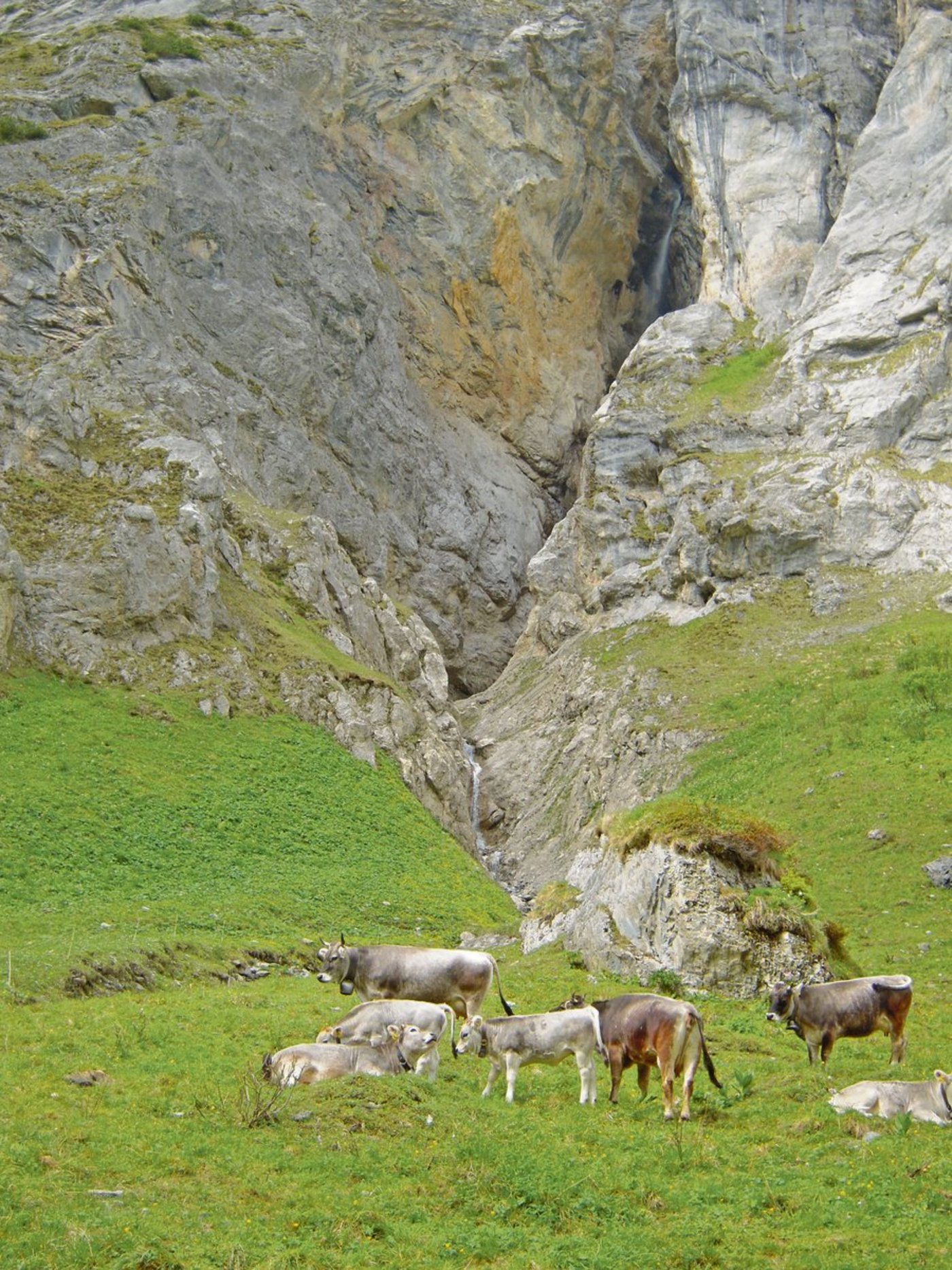 Das Verordnungspaket 2020 sieht vor, dass Betriebe, die «Alp»- oder «Berg»-Produkte herstellen, mindestens alle zwei Jahre kontrolliert werden.(Bild BauZ)