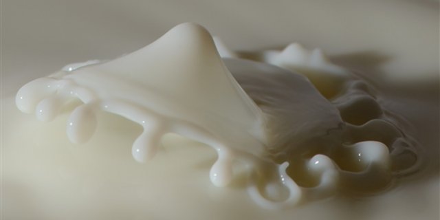 Politisch betrachtet legt sich Mooh quer zu den von Bauernvertretern diskutierten Absichten einer Mengensteuerung. (Bild pd)