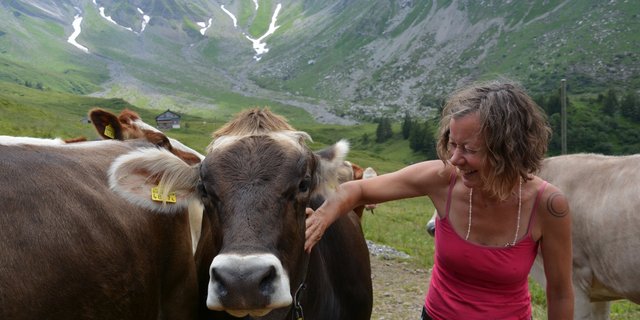 Älplerin Maya Würsch mit ihren Tieren vor der Alphütte. Auf eine andere Alp als Obersihl würde sie nicht gehen, «die Gegend mit der Sihl gehört zu mir». Auch das Rindvieh zieht sie dem Kleinvieh vor. (Bilder Franziska Jurt)