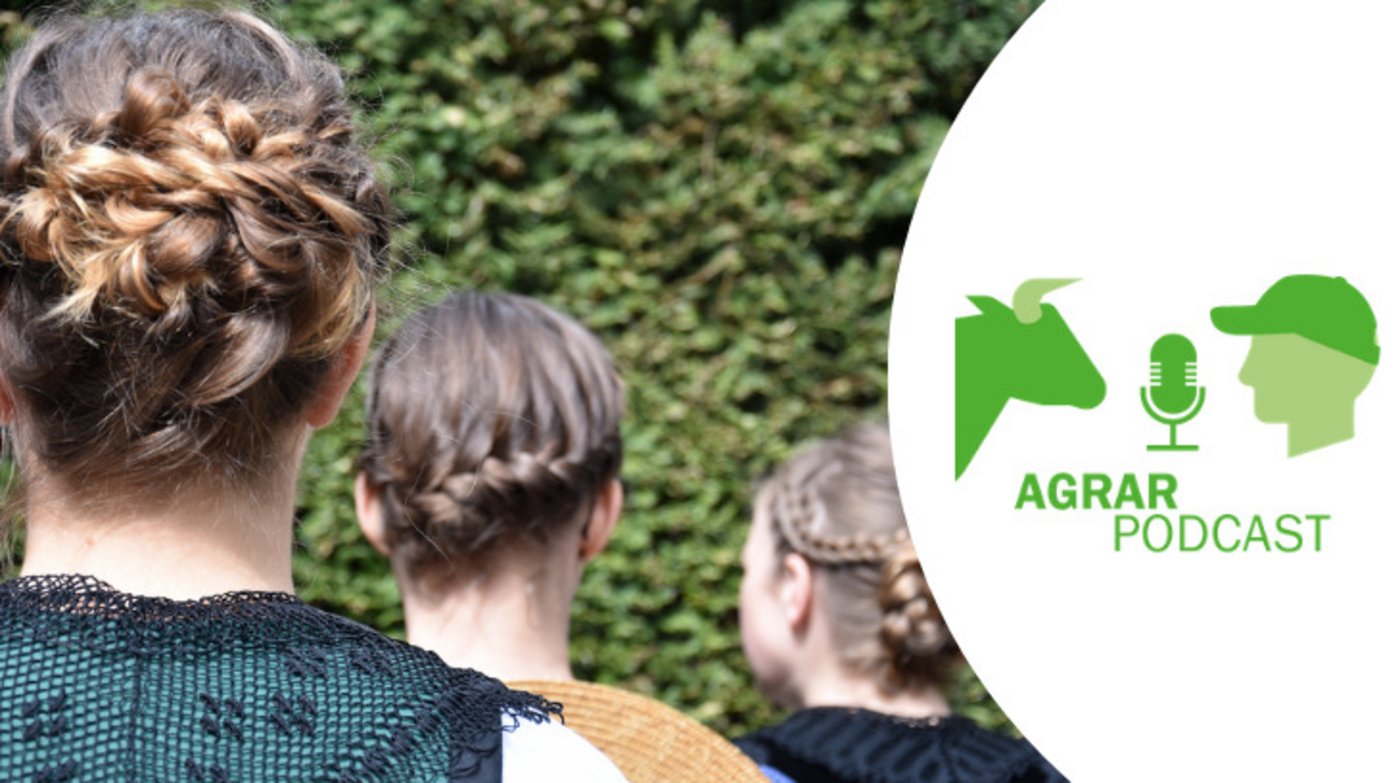 Flechtfrisuren zum Tag der Tracht in drei Variationen. Mehr dazu gibt es in der achten Episode des AgrarPodcasts (Bild: BauernZeitung/Jeanne Woodtli)