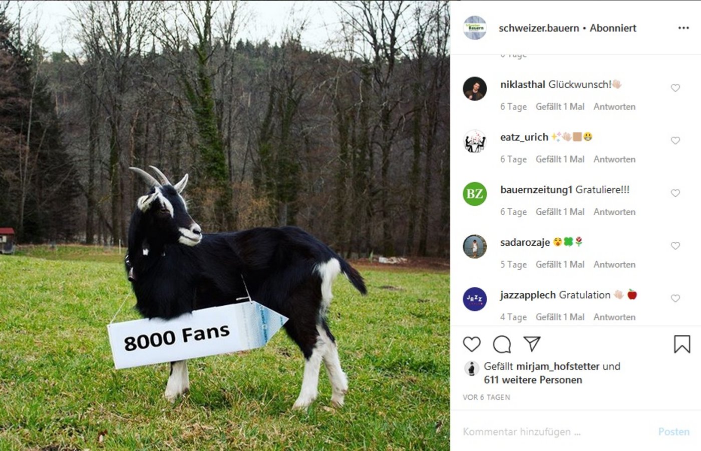 Kürzlich konnte man @schweizer.bauern zum 8000. Follower gratulieren. (Screenshot)