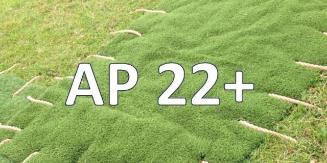 Die erste gesamtheitliche Betrachtung der Laka fiel mehrheitlich negativ aus. (Bildmontage Bauz/Pixabay)