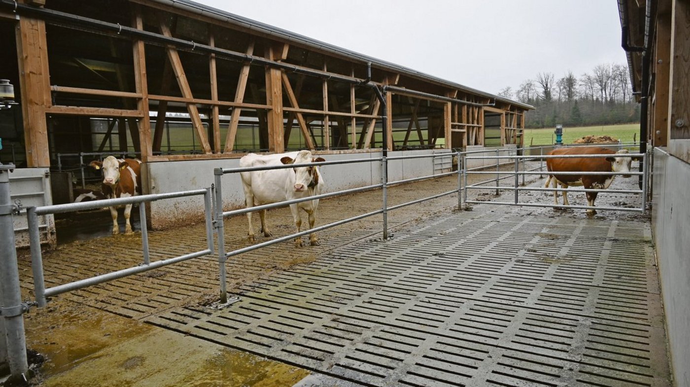 Das viele Abwasser aus den Laufhöfen gelangt auch in die Güllegruben. Jetzt noch umso mehr.(Bild aw)