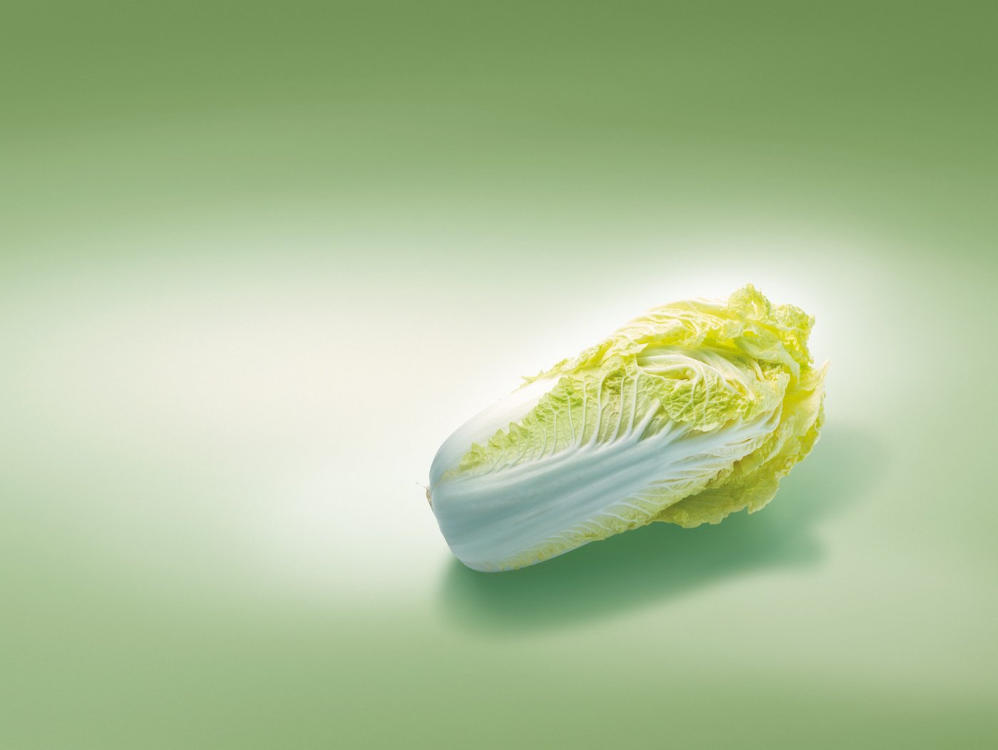 In der Schweiz werden rund 150 Hektaren Chinakohl gepflanzt. (Bild: VSGP/zVg)