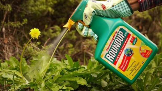 Privatgärtner führen oft eine lockere Hand in Sachen Pflanzenschutz-Einsatz. (Bild pd) 