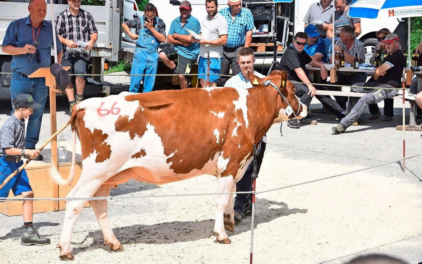 Solche Kühe wünscht man sich: Die bestausgewiesene Rain’s Semino Alexa von Niklaus Neukomm, Horboden, galt 4670 Franken.