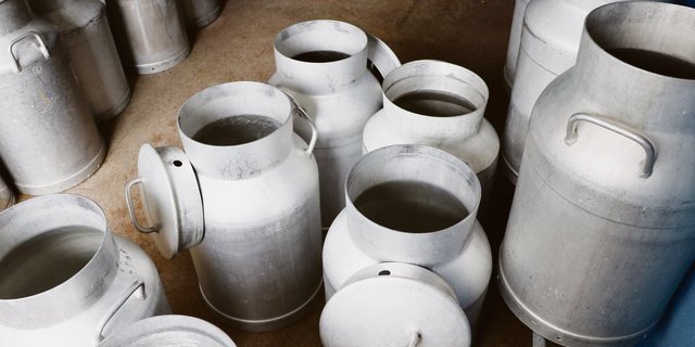 Die Milchkannen bleiben leer: In der Schweiz gibt es immer wie weniger Milchbauern. (Bild Ruth Aerni)