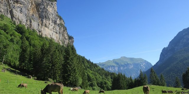 Die Stiftung Landschaftsschutz Schweiz setzt sich für die Erhaltung der Landschaft ein. (Bild Esther Thalmann)