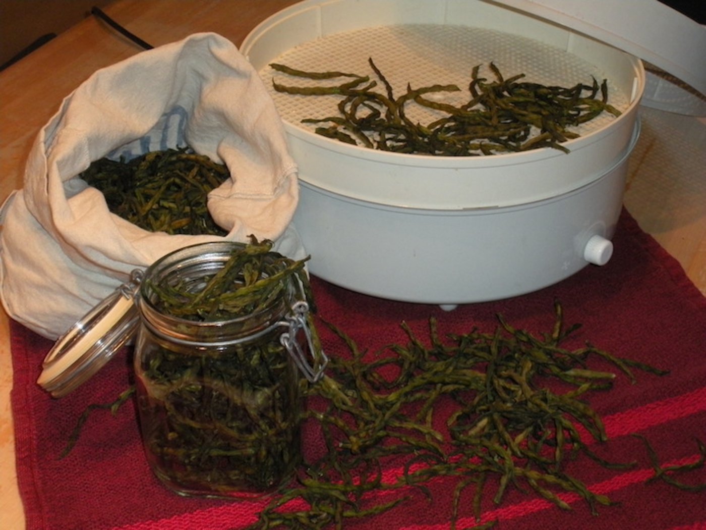 Bohnen sind das bekannteste Dörrgemüse. Es empfiehlt sich, sie vor dem Dörren zu blanchieren, das verringert die Dörrzeit und baut den Giftstoff Phasin ab. (Bild Simone Hunziker)