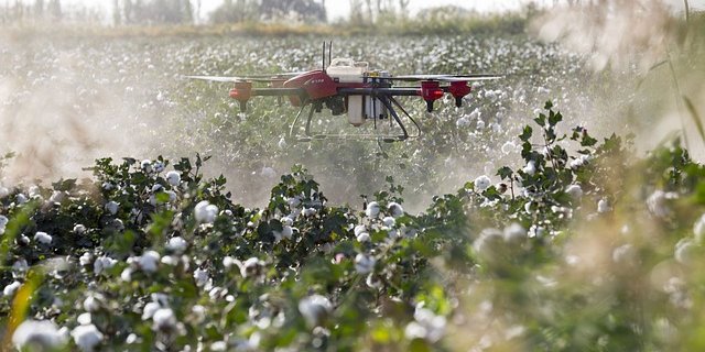 Drohnen können den Einsatz von Pestiziden verringern. (Bild Pixabay)