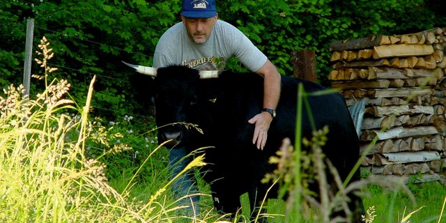 Beat Eggimann ist mächtig stolz auf seine kleine Bijoux. Die Dexterkuh entspricht den Zuchtzielen sehr schön. (Bild Beat Eggimann)