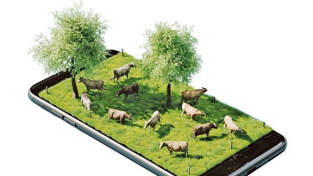 Das «Werbebild» von Smart Cow bringe es bestens auf den Punkt, findet Francesco De Benedetto.