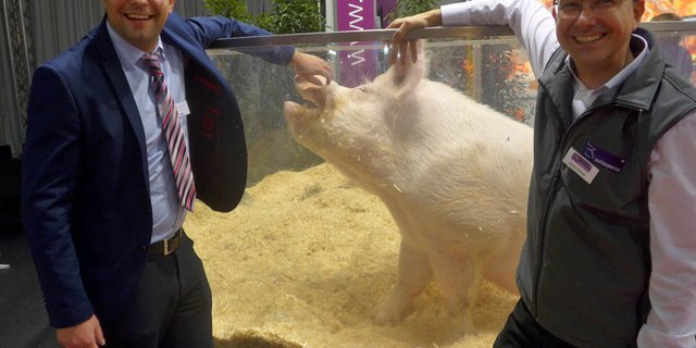 Gruppenbild mit Eber: Matteo Aepli (l.), Chef von Suisag und Adrian Schütz, jugendliches Suisseporcs-Urgestein. (Bild akr)