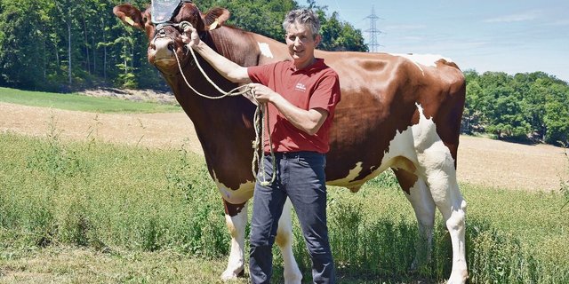 Der Hauptpreis vom ESAF in Pratteln. Der RH-Stier Amnesty Magnus von Jürg Degen aus Pratteln.