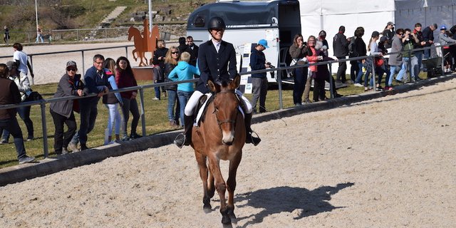 Tanja Spring aus Jeuss begeistert mit Maultier Fridolin. (Bild joy)