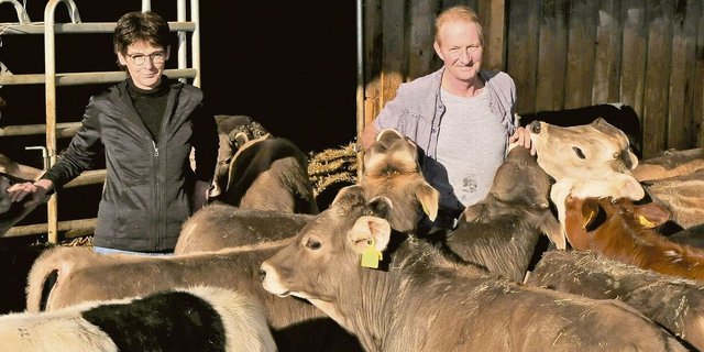 Gesunde Tiere machen viel Freude und sind auch betriebswirtschaftlich interessant: Claudia und Alois Renggli investieren viel Zeit in die Beobachtung ihrer rund 100 Mastkälber.