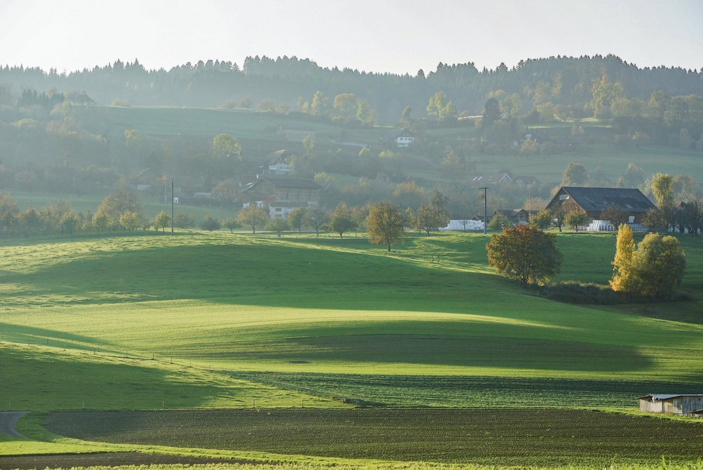 Der Kanton Luzern, hier bei Winikon, ist bei den FFF nur noch 40 Hektaren über dem Soll. Die neu erstellte Karte soll helfen, Gegensteuer zu geben.(Archivbild rae)