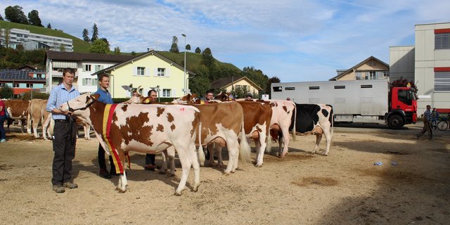 Die Regioschau in Willisau. (Bild Beat Aregger)