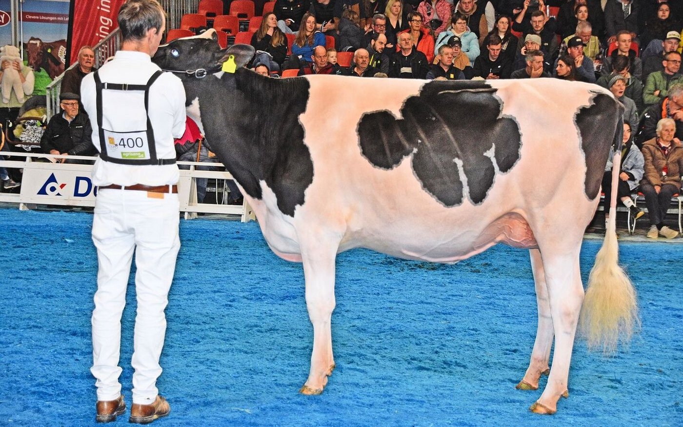 Sie siegte in der Kategorie der jüngsten Holsteinkühe: Künzi`s Sidekick Hanna von Rolf Künzi aus Süderen.