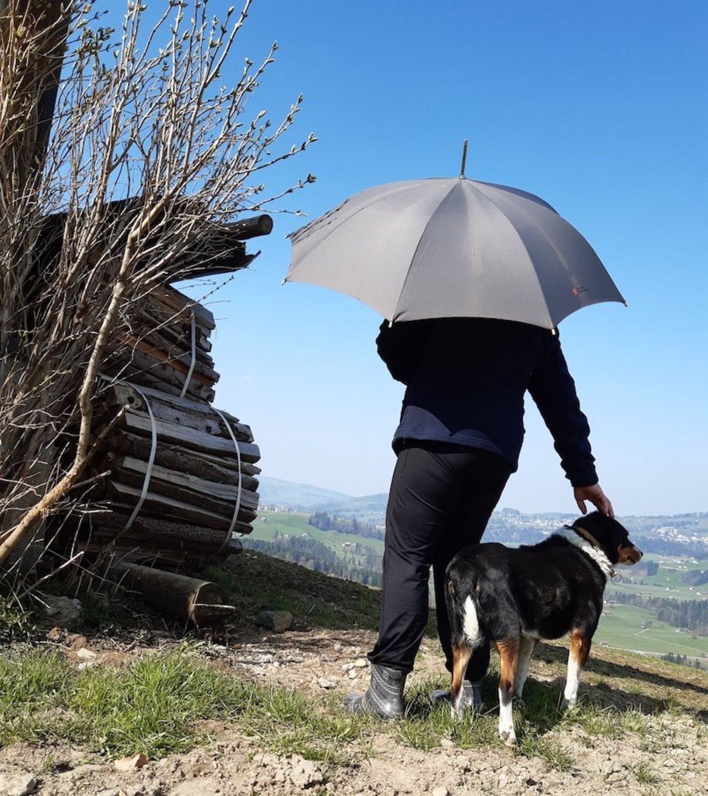 Sich früh für alle erdenklichen Situationen abzusichern, hilft, dass man nach Todesfall oder Scheidung nicht schutzlos im Regen steht, sondern getrost in die Zukunft schreiten kann. (Symbolbild Sonja Knechtle)