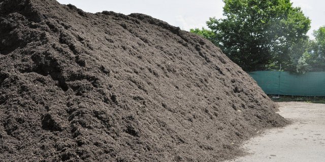 Junger, unreifer Kompost am Haufen.(Bild Joël Grossrieder)