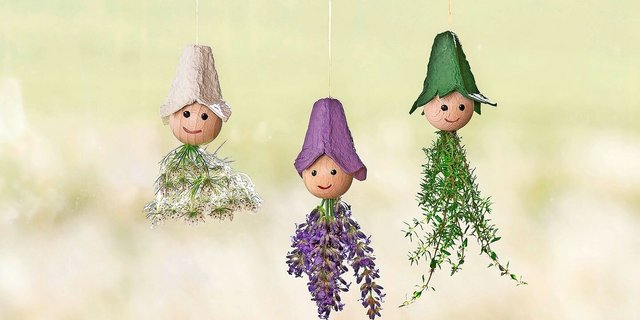 Die drei Kräuterfeen mit Wilder Möhre, Lavendel und Thymian sind ein Hingucker vor dem Küchenfenster. 