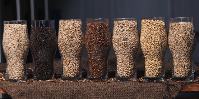 Mit Geldern des Förderinstruments AgriQnet wird der Aufbau einer Mälzerei unterstützt. Der Gesuchsteller ist eine Kooperative aus Landwirten, Brauern und Verbrauchern. Bild: Adobe Stock