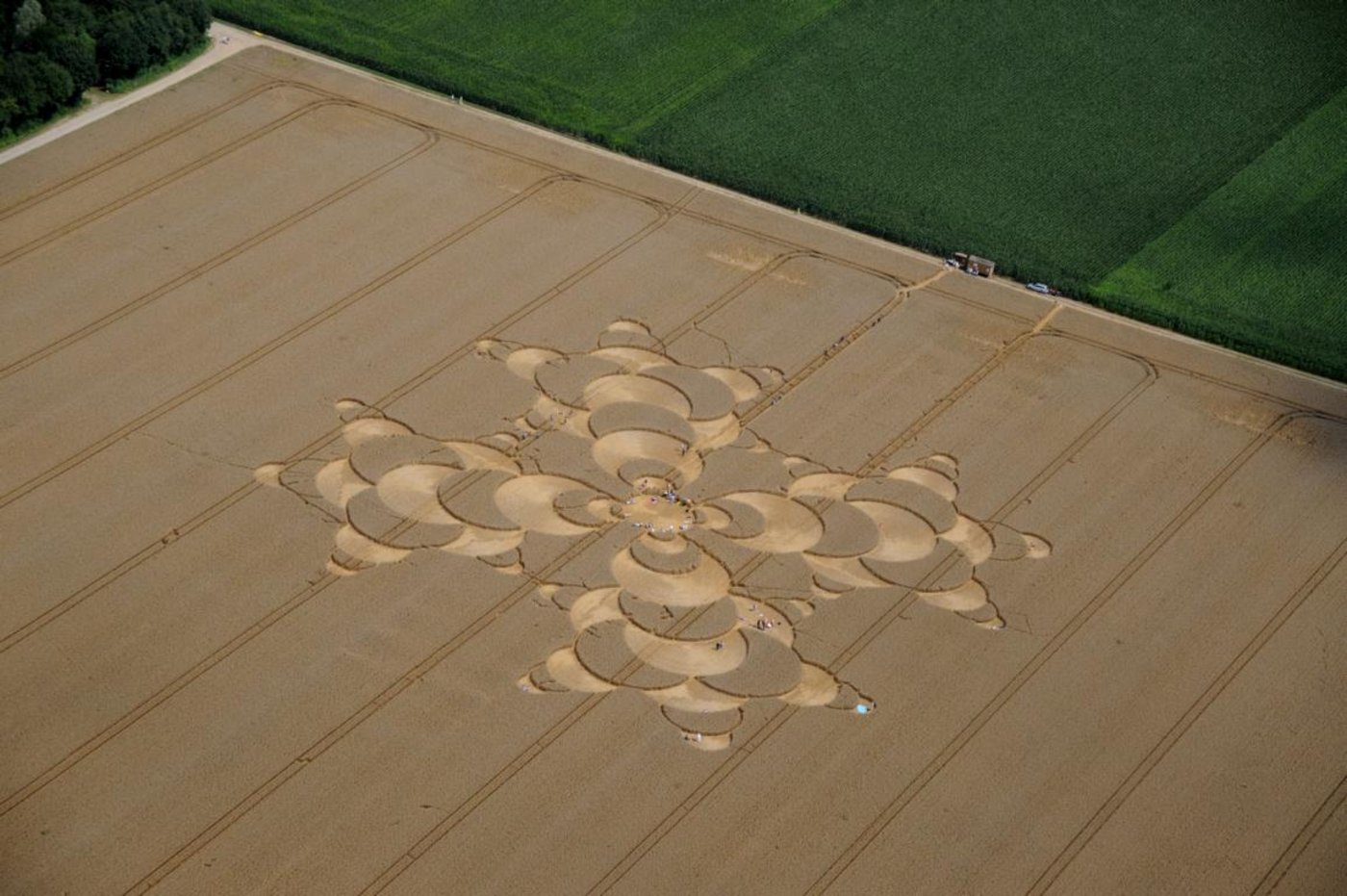 Von einem Kleinflugzeug aus sieht man das Muster des Kornkreises am besten. (Bilder Andreas Walker)
