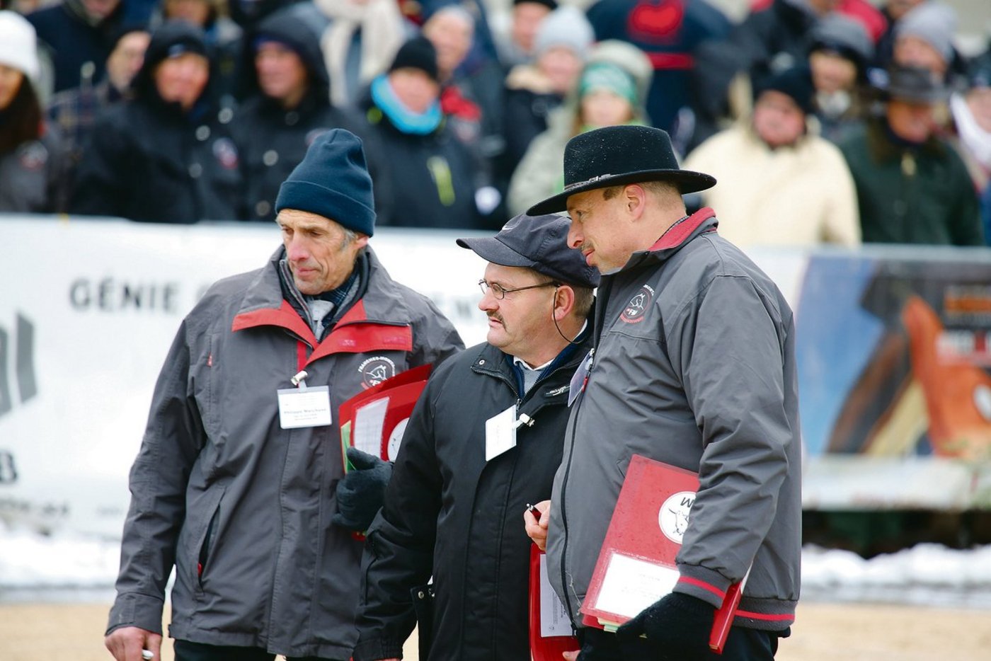 Der Fokus einer Studie lag auf ihnen: Die Rassenrichter der Freiberger stehen wieder im Einsatz. Es geht um die Auswahl der Zuchthengste. Und genau dort steht der Verband vor Herausforderungen. Es dürften Neuerungen folgen.(Bild kr)