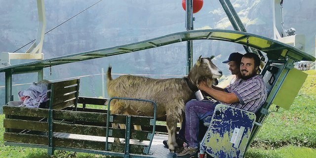 Bei den Kabinenkonstruktionen gibt es vom modernen geschlossenen Modell bis zum abenteuerlichen "Cabriolet" alles. (Bild akr)