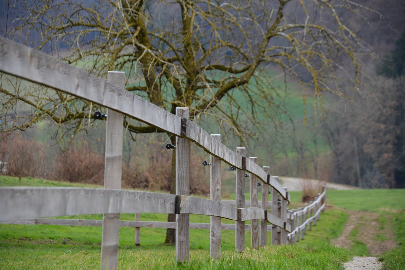 Seit Spätsommer bewilligt der Kanton Luzern keine Gesuche mehr für neue Lattenzäune (wie im Bild). Der Erhalt von Bestehenden wird aber weiterhin unterstützt. (Bild Armin Emmenegger)