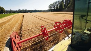 «Wir wollen die Lage «Wir wollen die Lager sofort wieder mit hochwertiger Ware auffüllen», sagt Fritz Rothen. Deshalb sucht man neue Produzenten und fordert die bestehenden auf, mehr zu produzieren