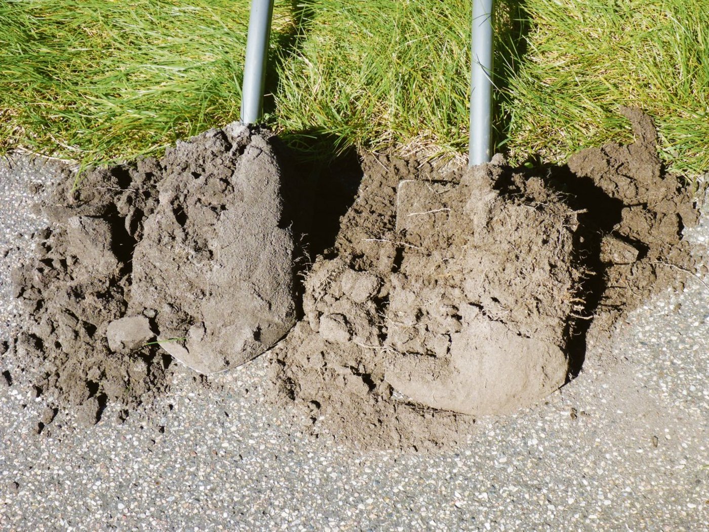 Links im Bild: So präsentiert sich die Gareprobe vom Grasland eines Güllebetriebes ohne Güllefermentierung. Rechts die Probe eines Nachbarbetriebs mit Güllefermentierung.(Bild zVg)